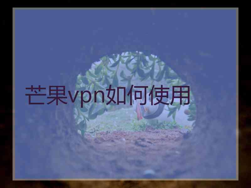 芒果vpn如何使用