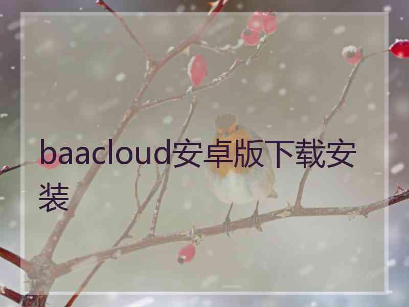 baacloud安卓版下载安装