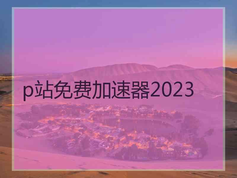 p站免费加速器2023