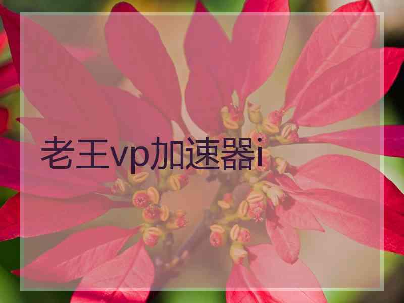 老王vp加速器i