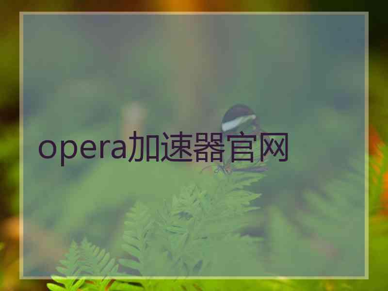 opera加速器官网