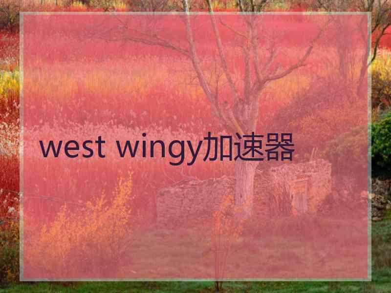 west wingy加速器