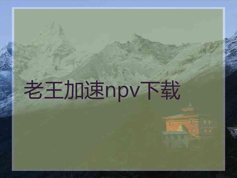 老王加速npv下载