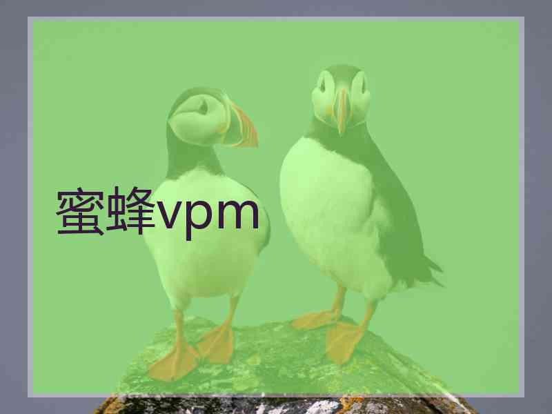 蜜蜂vpm