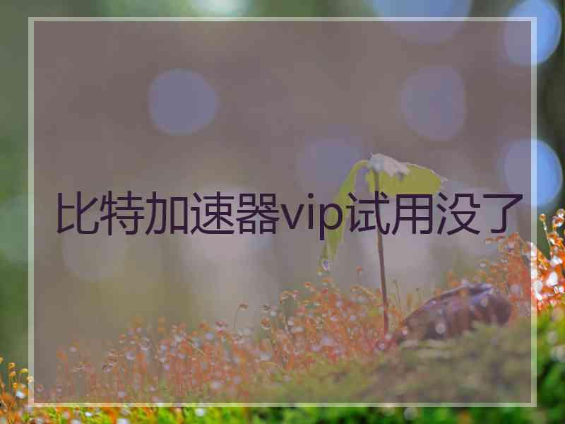 比特加速器vip试用没了