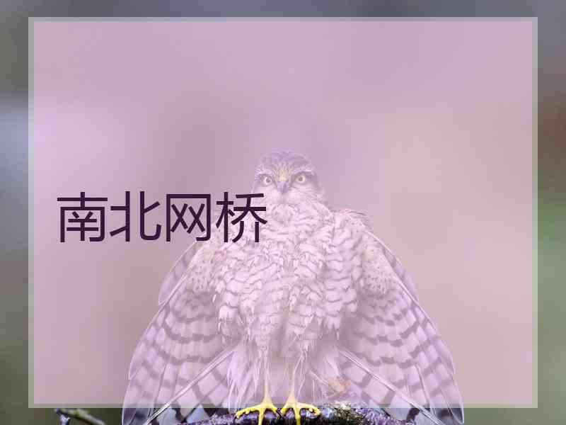 南北网桥