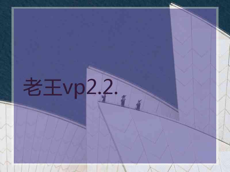 老王vp2.2.