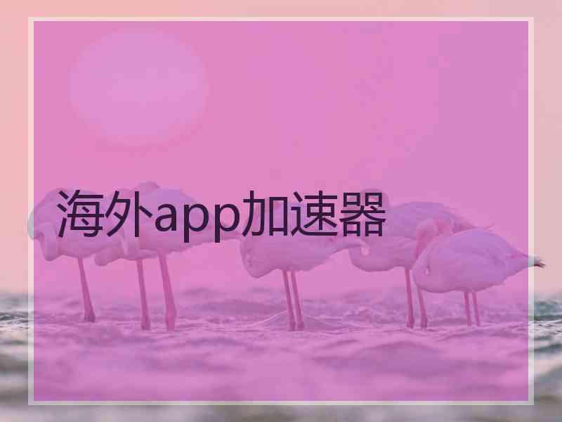 海外app加速器