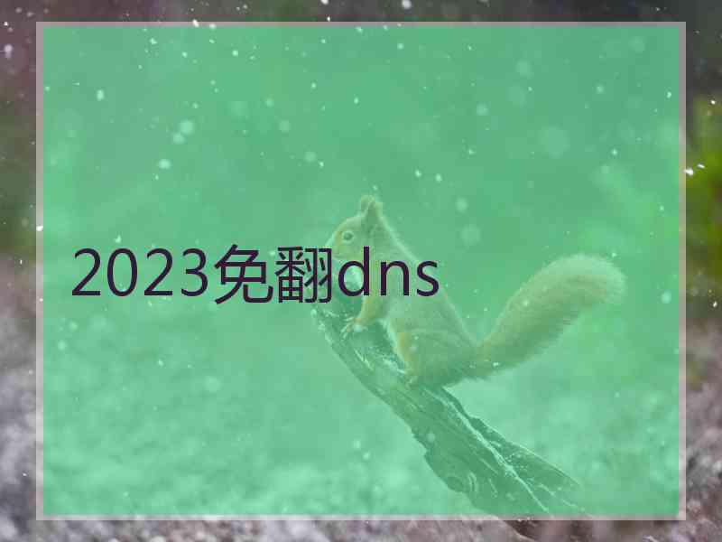 2023免翻dns