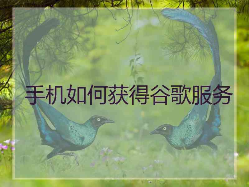 手机如何获得谷歌服务