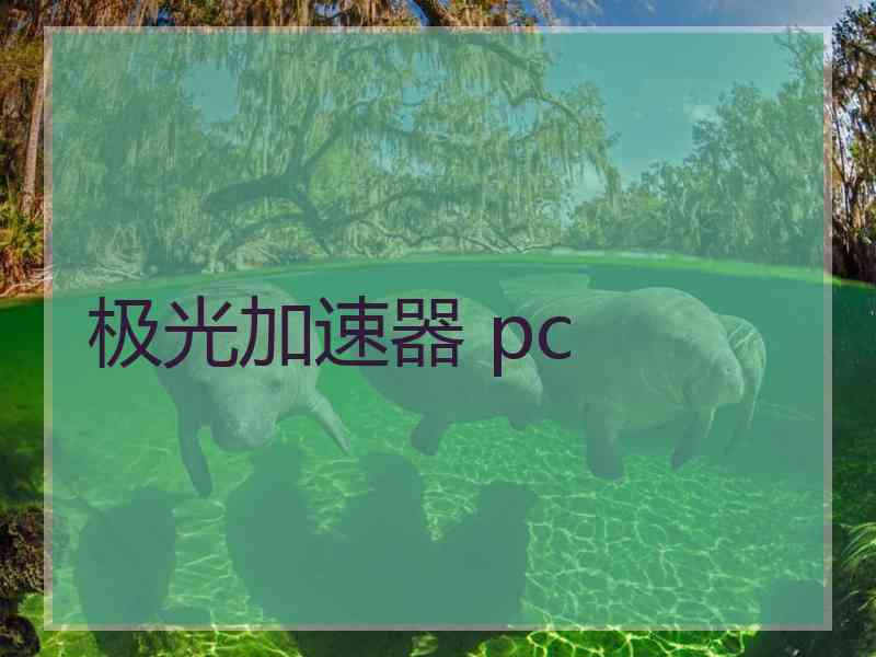 极光加速器 pc