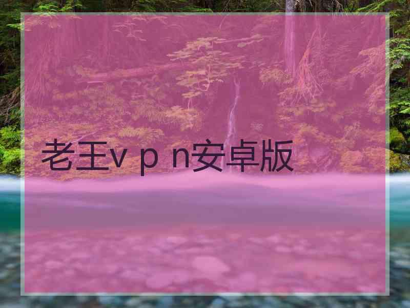 老王v p n安卓版