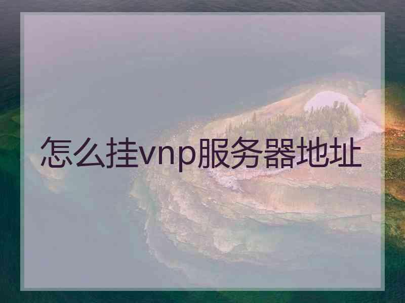 怎么挂vnp服务器地址