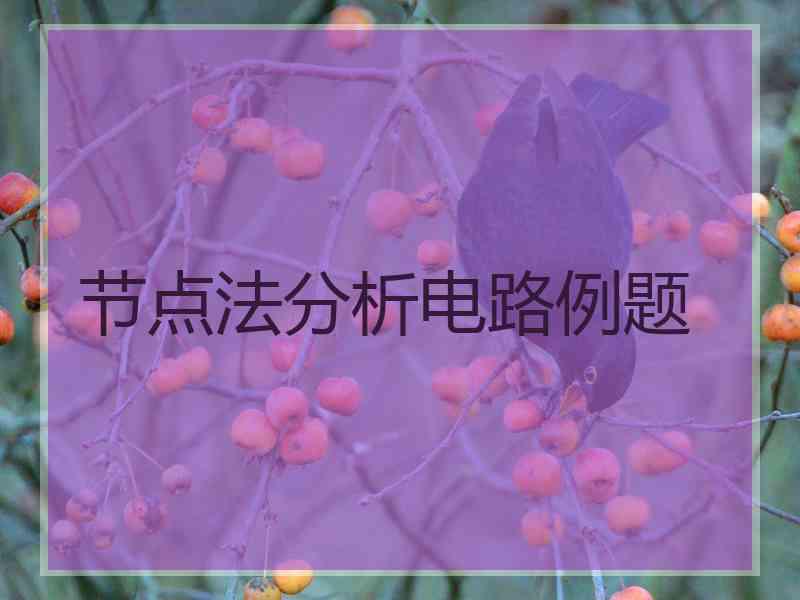 节点法分析电路例题