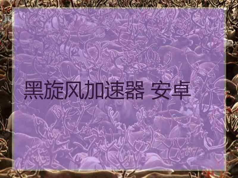 黑旋风加速器 安卓