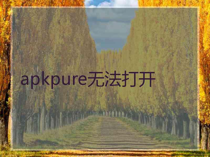 apkpure无法打开