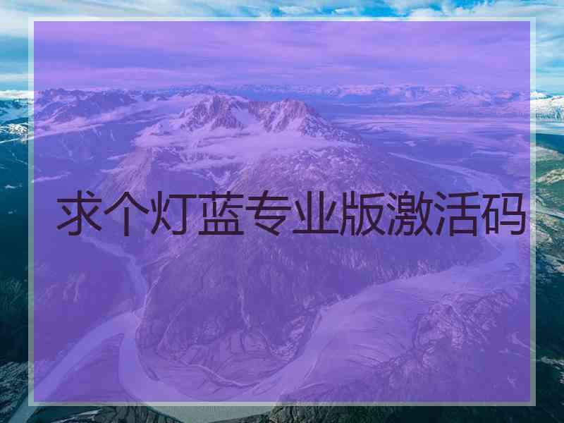 求个灯蓝专业版激活码