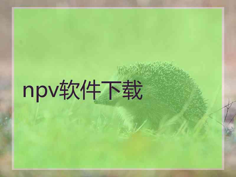 npv软件下载