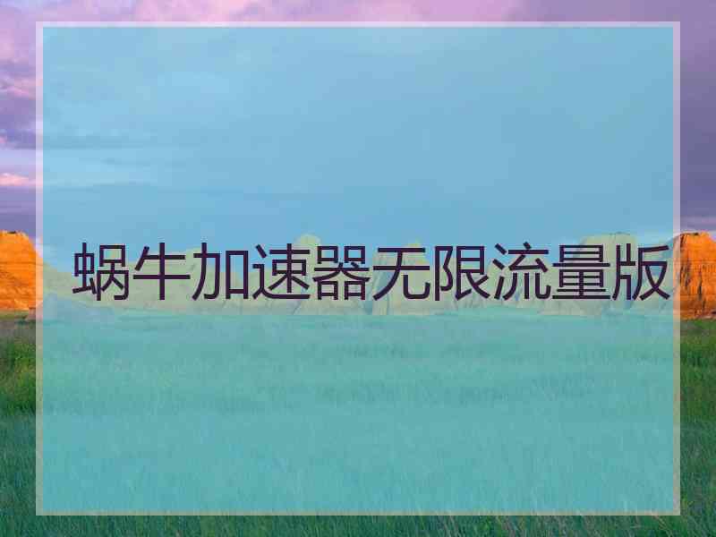 蜗牛加速器无限流量版