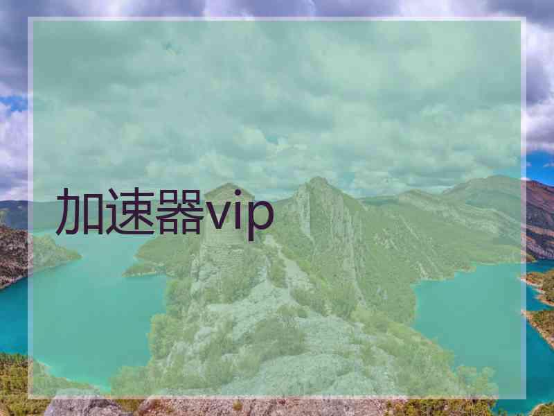 加速器vip