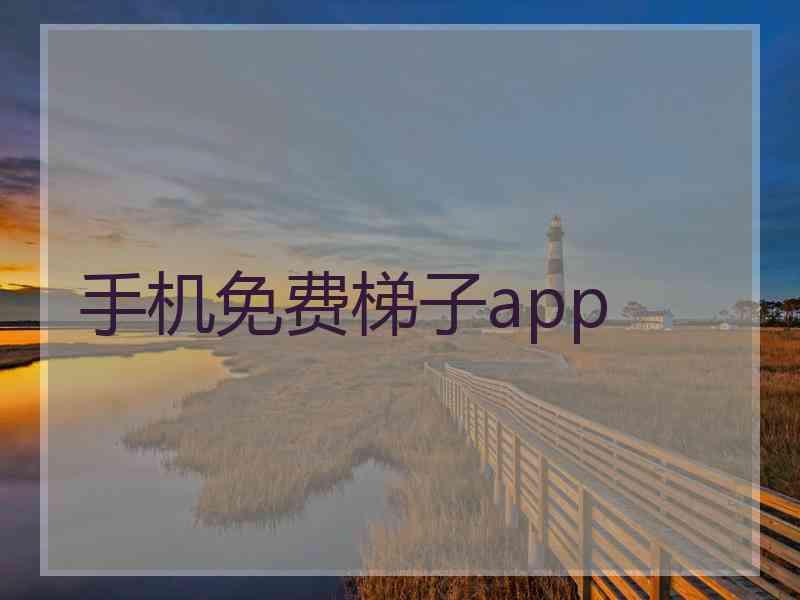 手机免费梯子app