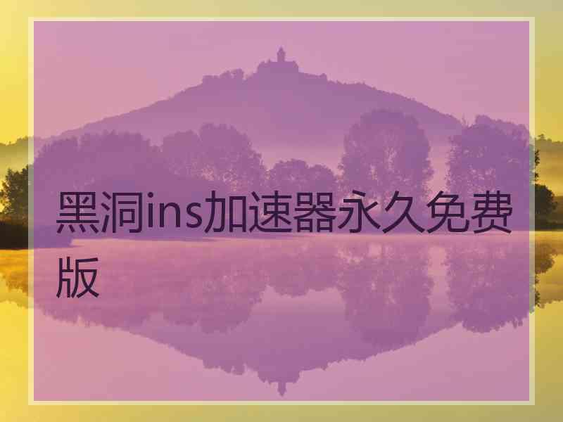 黑洞ins加速器永久免费版