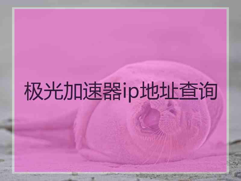极光加速器ip地址查询