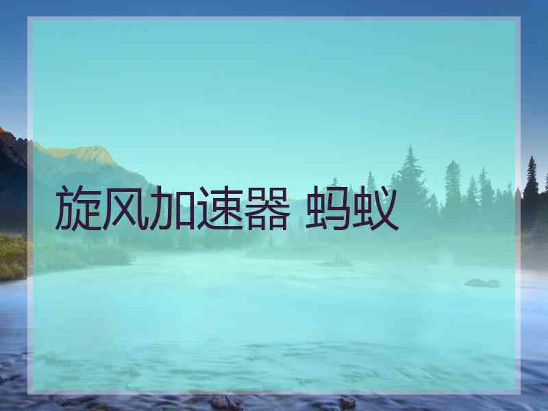 旋风加速器 蚂蚁