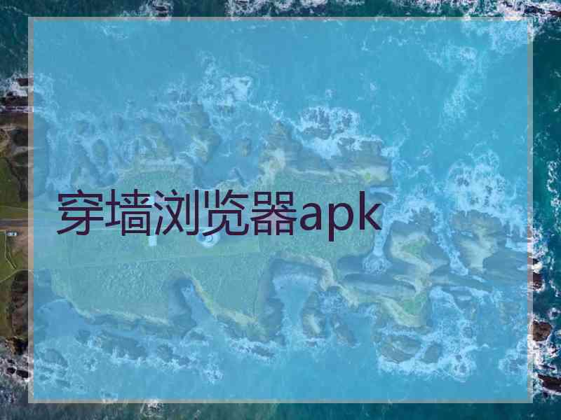 穿墙浏览器apk