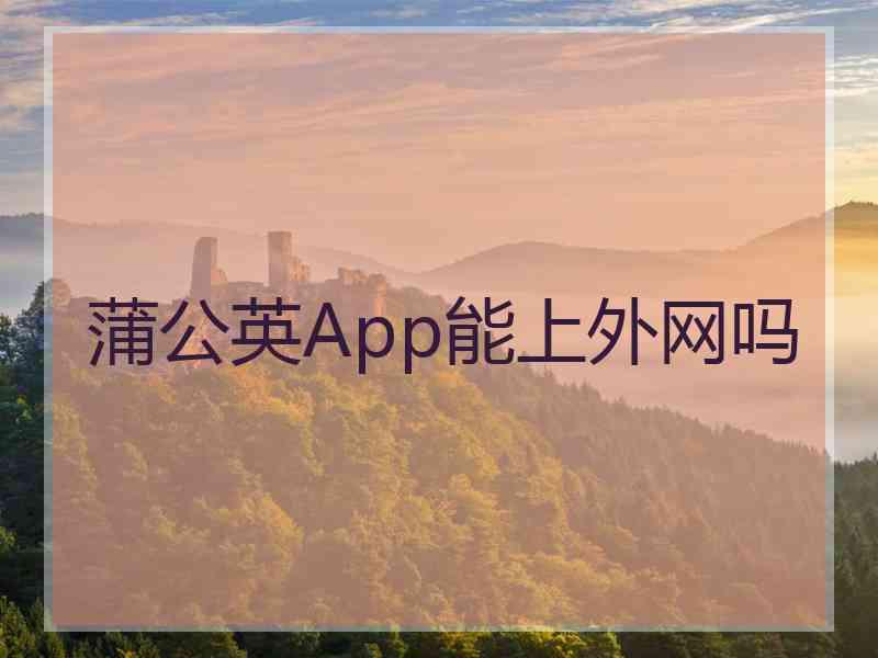 蒲公英App能上外网吗