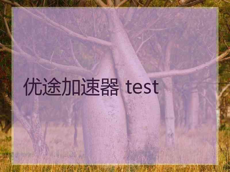 优途加速器 test