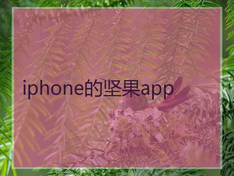 iphone的坚果app