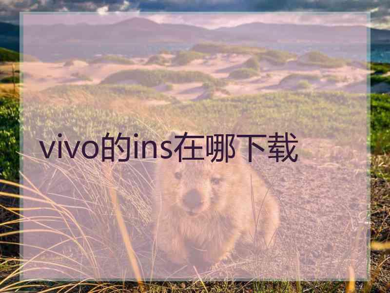 vivo的ins在哪下载