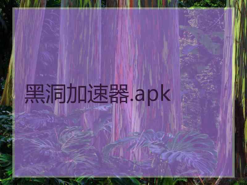 黑洞加速器.apk