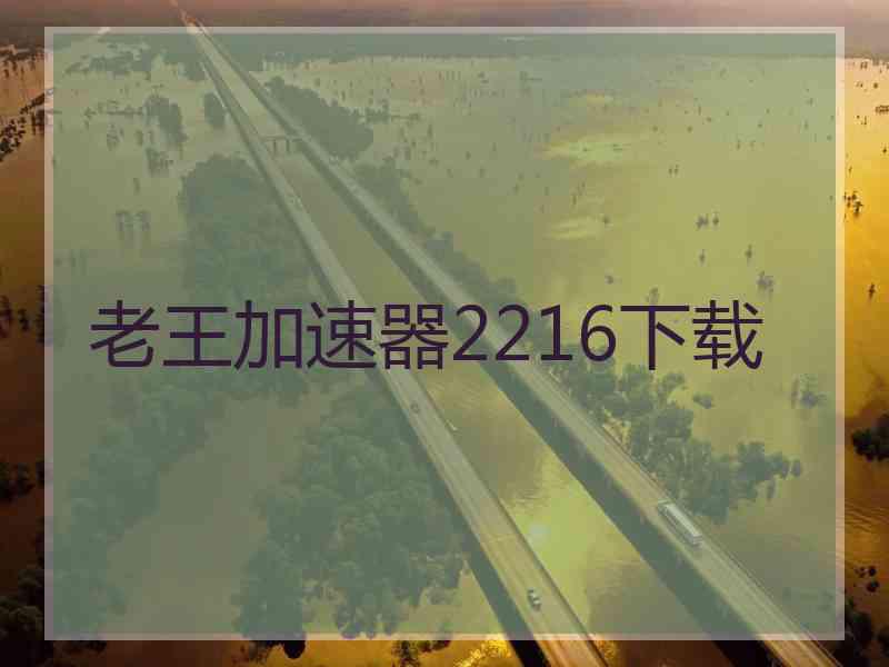 老王加速器2216下载