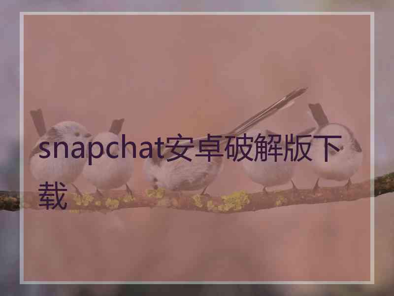 snapchat安卓破解版下载