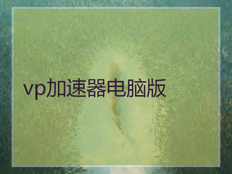 vp加速器电脑版