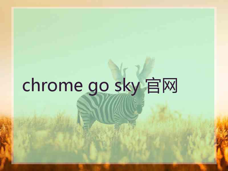 chrome go sky 官网