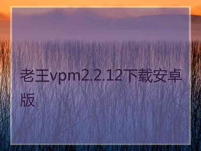 老王vpm2.2.12下载安卓版