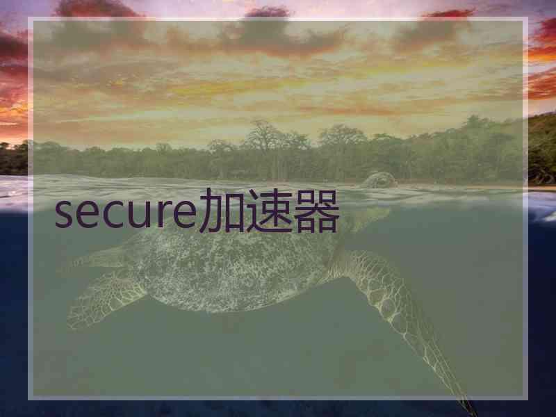 secure加速器