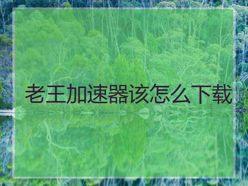 老王加速器该怎么下载