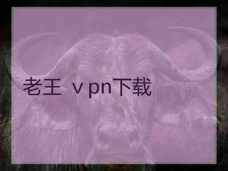 老王 ⅴpn下载