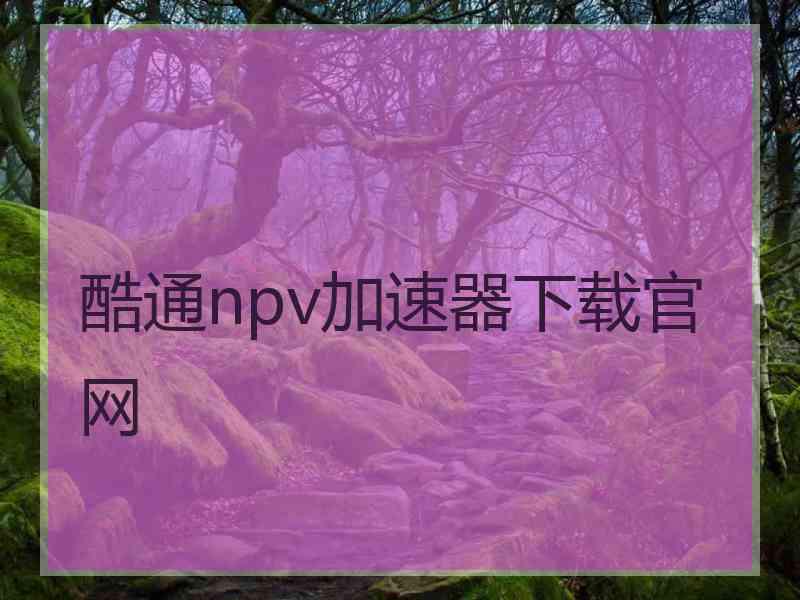 酷通npv加速器下载官网