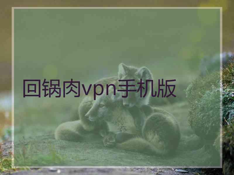 回锅肉vpn手机版