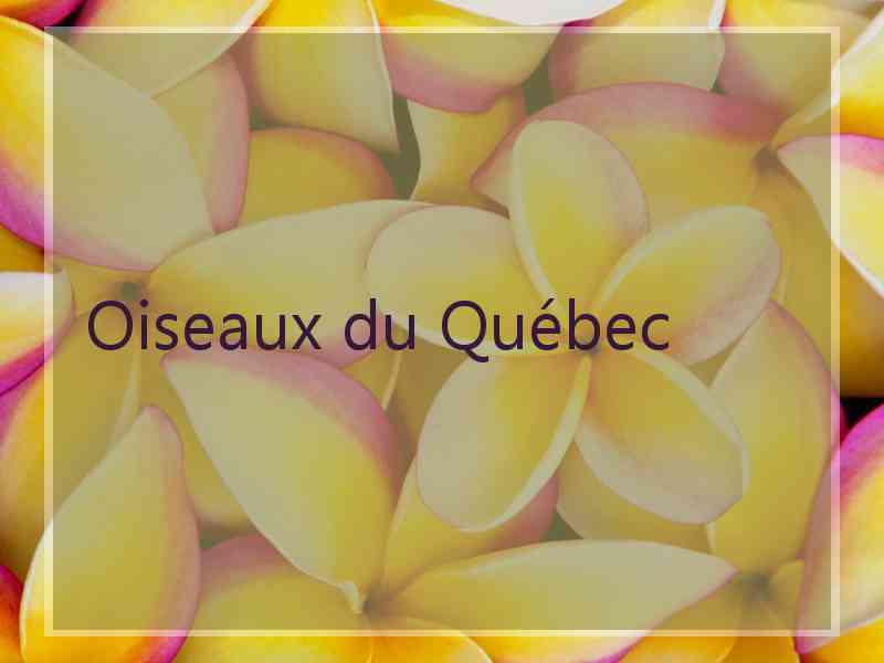 Oiseaux du Québec