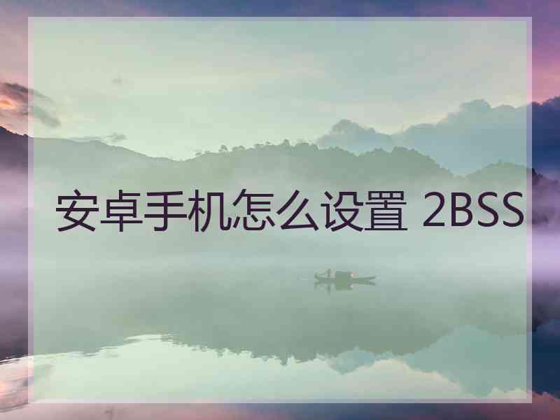 安卓手机怎么设置 2BSS