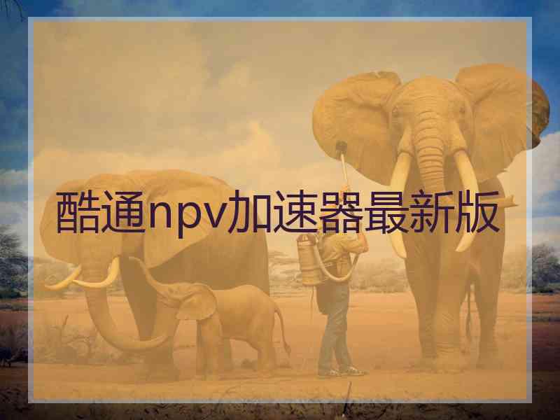 酷通npv加速器最新版