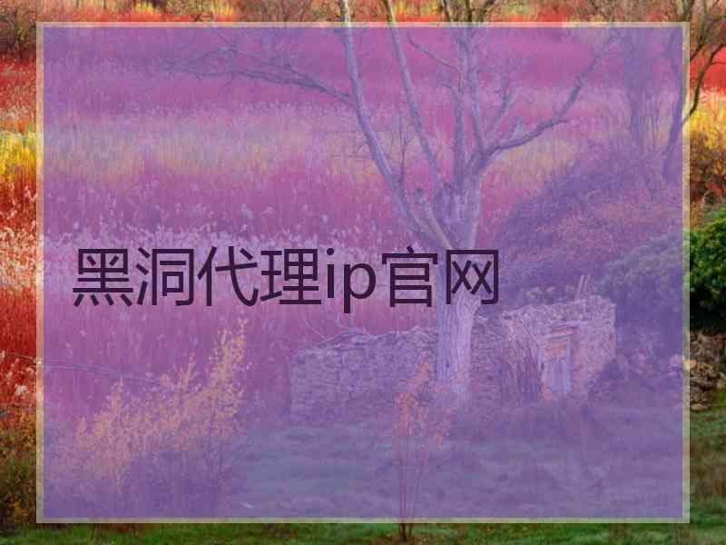 黑洞代理ip官网