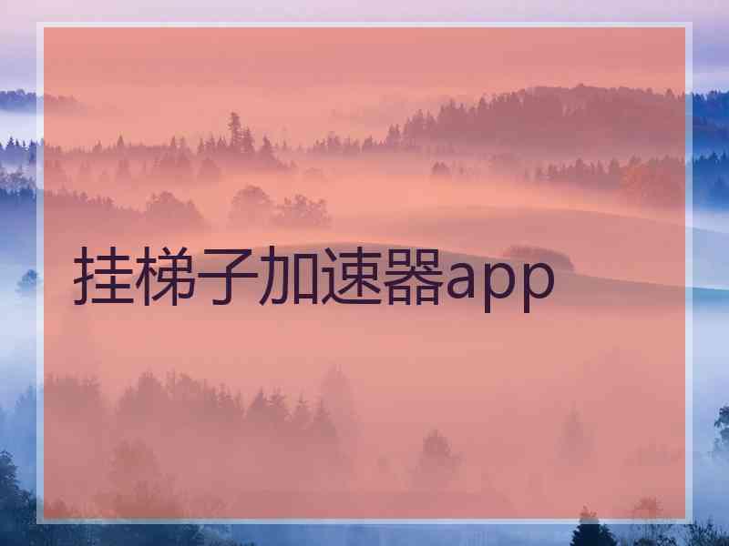 挂梯子加速器app