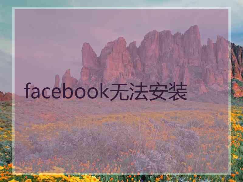 facebook无法安装